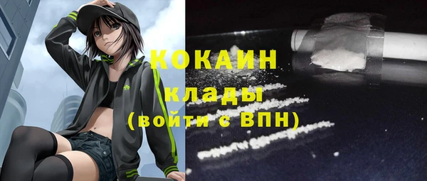 2c-b Каменка