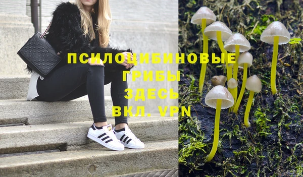 дмт Осташков