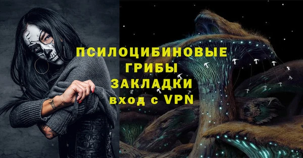 гашик Медногорск