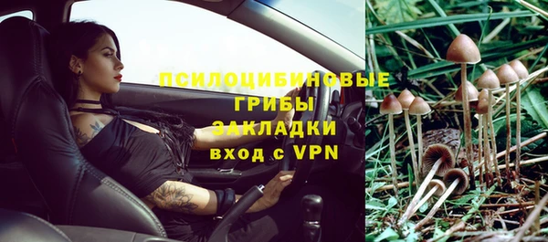 соль ск Инсар