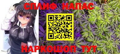 крисы Гусь-Хрустальный