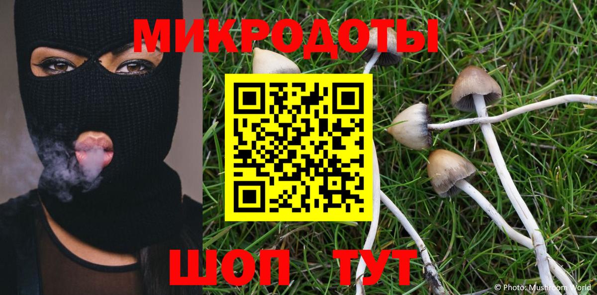 Псилоцибиновые грибы Psilocybe Солнечногорск