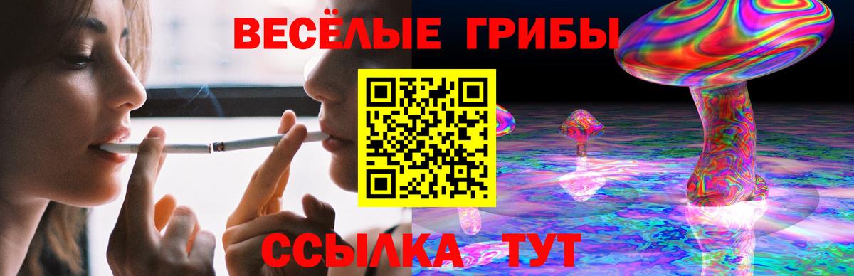 купить закладку  Солнечногорск  Галлюциногенные грибы ЛСД 