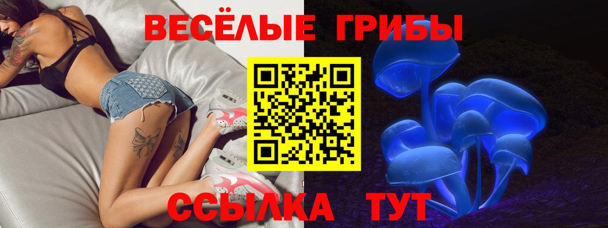 Псилоцибиновые грибы MAGIC MUSHROOMS  дарнет шоп  Солнечногорск  Вход с VPN  Галлюциногенные грибы мицелий 