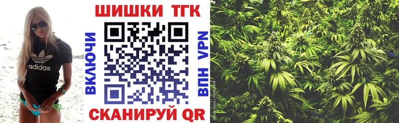 Бошки марихуана индика купить наркотики цена Солнечногорск